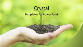  Presentation with plant pathology disease - Colorful theme enhanced with growth green - plant in hand backdrop and a yellow colored foreground