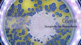  Presentation with mold - Audience pleasing PPT theme consisting of growth-of-bacteria-and-mold backdrop and a light blue colored foreground