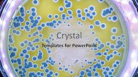  Presentation with petri dish - PPT theme featuring growth-of-bacteria-and-mold background and a mint green colored foreground