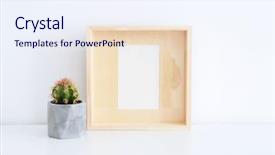  Presentation with cactus - Theme enhanced with growth portfolio - empty wooden frame and cactus background and a  colored foreground