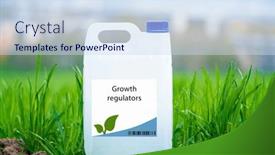 Presentation with plant growth - Slide set with growth-regulators-compounds-that-regulate background and a sky blue colored foreground