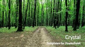  Presentation with beautiful green - Theme featuring growth trees - beautiful green forest background and a  colored foreground