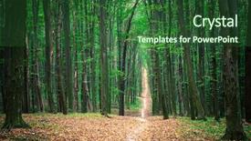  Presentation with mountains forests green forest - PPT layouts having growth trees - beautiful green forest background and a  colored foreground