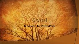  Presentation with elements - Presentation theme enhanced with grunge background paper or canvas with some floral elements made from my own photos background and a gold colored foreground