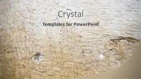  Presentation with concrete wall grunge concrete - Presentation design featuring grunge-concrete-background-with-cracks background and a light gray colored foreground