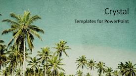  Presentation with palm beach - Audience pleasing theme consisting of grunge image of tropical beach backdrop and a seafoam green colored foreground