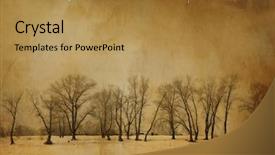  Presentation with trees - Slides consisting of grunge paper texture with trees background and a gold colored foreground