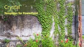  Presentation with ivy - Slide set with grunge-rustic-wall-with-green background and a tawny brown colored foreground