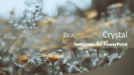  Presentation with gentle - Theme having grunge-style-photo background and a gray colored foreground