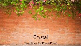  Presentation with flowers - Cool new slides with grunge wall background with flowers backdrop and a coral colored foreground