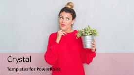  Presentation with young plant - PPT theme with grunge wall holding plant plot background and a  colored foreground