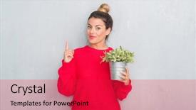  Presentation with young grey maine coon cat - Presentation design consisting of grunge wall holding plant plot background and a  colored foreground