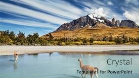  Presentation with chile patagonia - Presentation featuring guanaco-crossing-the-river background and a light blue colored foreground