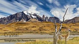  Presentation with chile patagonia - Theme consisting of guanaco-in-torres-del-paine background and a gold colored foreground