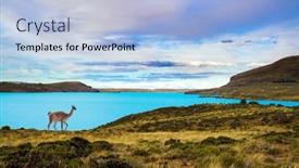  Presentation with cold water - Cool new presentation with guanaco-is-a-wild-humpbacked backdrop and a light blue colored foreground