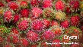  Presentation with rambutan - Presentation theme enhanced with guarana - assortment of fresh exotic rambutan background and a  colored foreground
