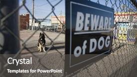  Presentation with dog - Beautiful presentation theme featuring guard dog behind 'beware backdrop and a dark gray colored foreground