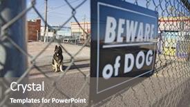  Presentation with dog - Amazing PPT layouts having guard dog behind 'beware backdrop and a gray colored foreground
