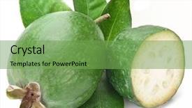  Presentation with guava - Cool new slides with guava - feijoa with leaves backdrop and a seafoam green colored foreground