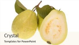  Presentation with guava - PPT layouts featuring guava fruit isolated on white background and a blonde colored foreground