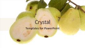  Presentation with guava - Theme featuring guava fruit isolated on white background and a yellow colored foreground