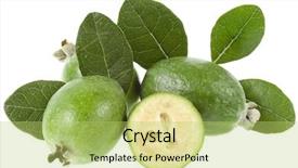  Presentation with guava - Presentation design enhanced with guava fruits - feijoa fruit acca sellowiana background and a yellow colored foreground