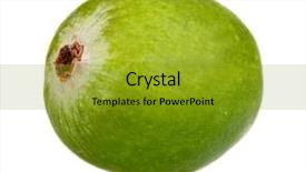  Presentation with guava - Beautiful presentation design featuring guava fruits - ripe feijoa fruit isolated backdrop and a gold colored foreground