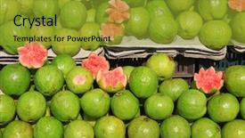  Presentation with andhra pradesh - Cool new theme with guava fruits in the market backdrop and a gold colored foreground