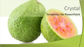  Presentation with guava fruits - Cool new slide set with guava-fruits-isolated-on-white backdrop and a soft green colored foreground