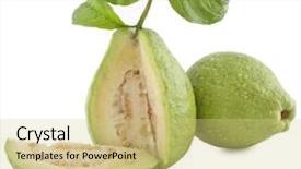  Presentation with guava - Cool new presentation theme with guava isolated on white background backdrop and a yellow colored foreground
