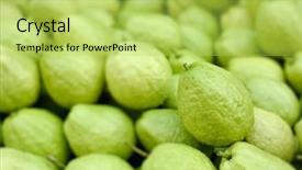  Presentation with guava - Colorful theme enhanced with guavas in group fresh green backdrop and a  colored foreground