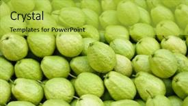  Presentation with green color - PPT theme having guavas in group fresh green background and a  colored foreground