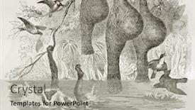  Presentation with paris - Audience pleasing slides consisting of guenon-attacking-nest-of-ruppell backdrop and a light gray colored foreground