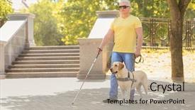  Presentation with guide dog - PPT layouts consisting of guide dog helping blind man background and a  colored foreground
