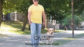  Presentation with guide dog - Audience pleasing slide deck consisting of guide dog helping blind man backdrop and a light blue colored foreground