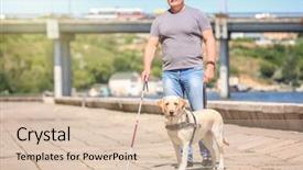  Presentation with guide dog - PPT layouts with guide dog helping blind man background and a  colored foreground