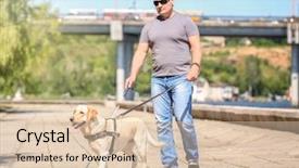  Presentation with guide dog - Cool new slides with guide dog helping blind man backdrop and a lemonade colored foreground