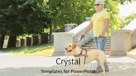  Presentation with guide dog - PPT layouts with guide dog helping blind man background and a soft green colored foreground