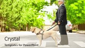  Presentation with pedestrian crossing - Beautiful slide deck featuring guide dog helping blind man backdrop and a lemonade colored foreground