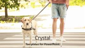  Presentation with guide dog - Theme enhanced with guide dog helping blind man background and a lemonade colored foreground