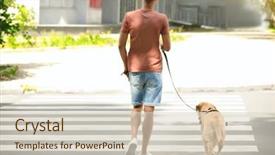  Presentation with guide dog - PPT theme having guide dog helping blind man background and a  colored foreground
