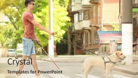  Presentation with pedestrian - Audience pleasing PPT layouts consisting of guide dog helping blind man backdrop and a soft green colored foreground