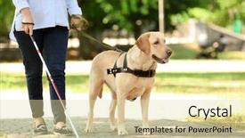  Presentation with dog park - PPT theme consisting of guide dog helping blind woman background and a soft green colored foreground
