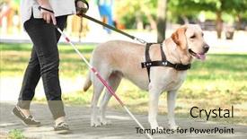  Presentation with dog park - Beautiful presentation theme featuring guide dog helping blind woman backdrop and a soft green colored foreground