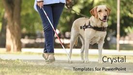  Presentation with guide dog helping blind woman - PPT theme featuring guide dog helping blind woman background and a  colored foreground