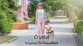  Presentation with blind - Cool new presentation with guide dog helping blind woman backdrop and a light gray colored foreground