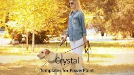  Presentation with dog park - Theme enhanced with guide dog helping blind woman background and a yellow colored foreground