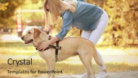  Presentation with blind stick - Amazing PPT layouts having guide dog helping blind woman backdrop and a coral colored foreground