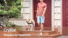  Presentation with guide dog - PPT theme with guide dog helping young blind background and a  colored foreground