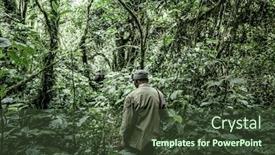  Presentation with old growth - Cool new slides with guide-in-old-growth-forest backdrop and a tawny brown colored foreground